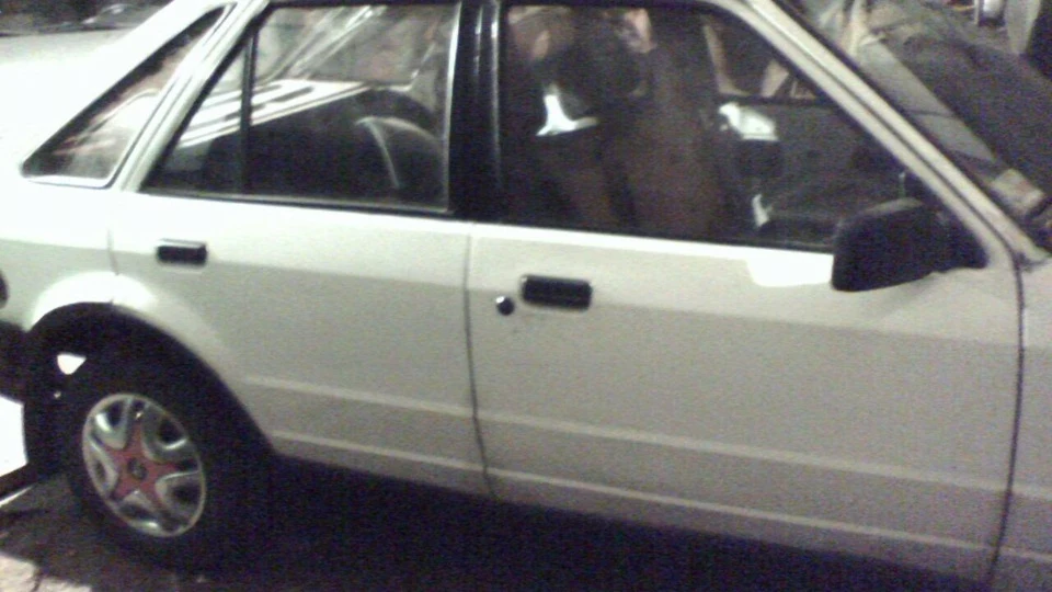 Ford Escort Майже Мусстанг 3