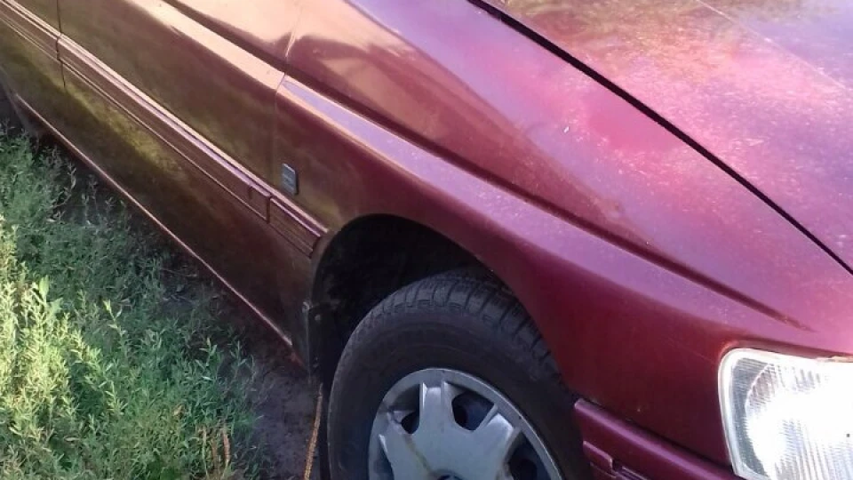 Ford Escort Слон 2