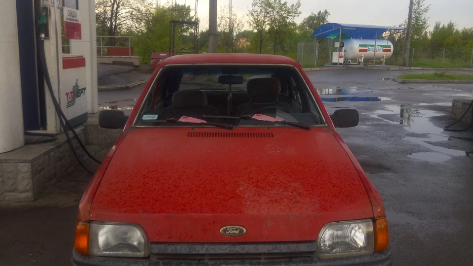 Ford Escort (джміль)