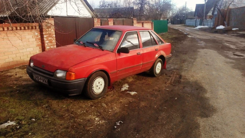 Ford Escort (джміль) 4