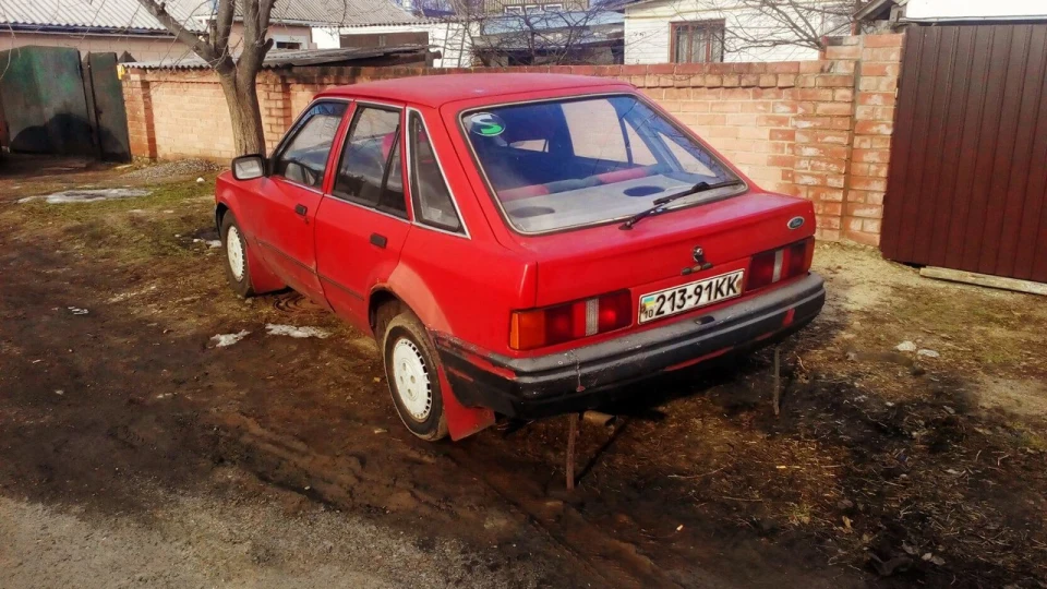 Ford Escort (джміль) 5