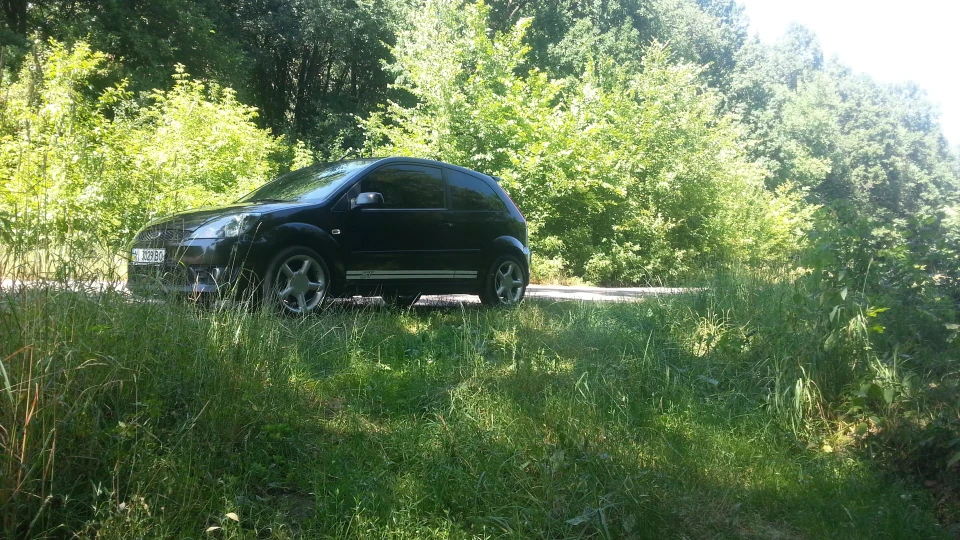 Ford Fiesta ST 5