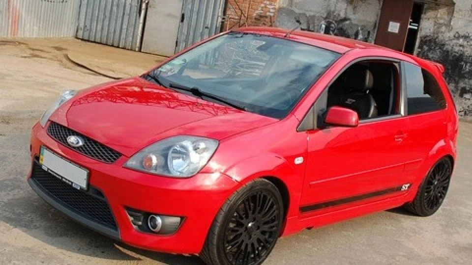 Ford Fiesta ST 150 2.0 Цуценя Пітбуля 2