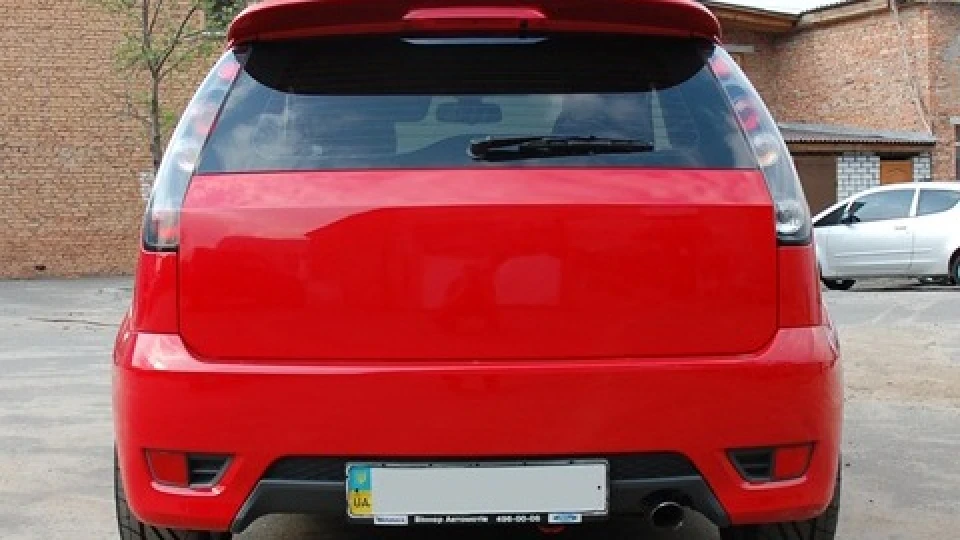 Ford Fiesta ST 150 2.0 Цуценя Пітбуля 3