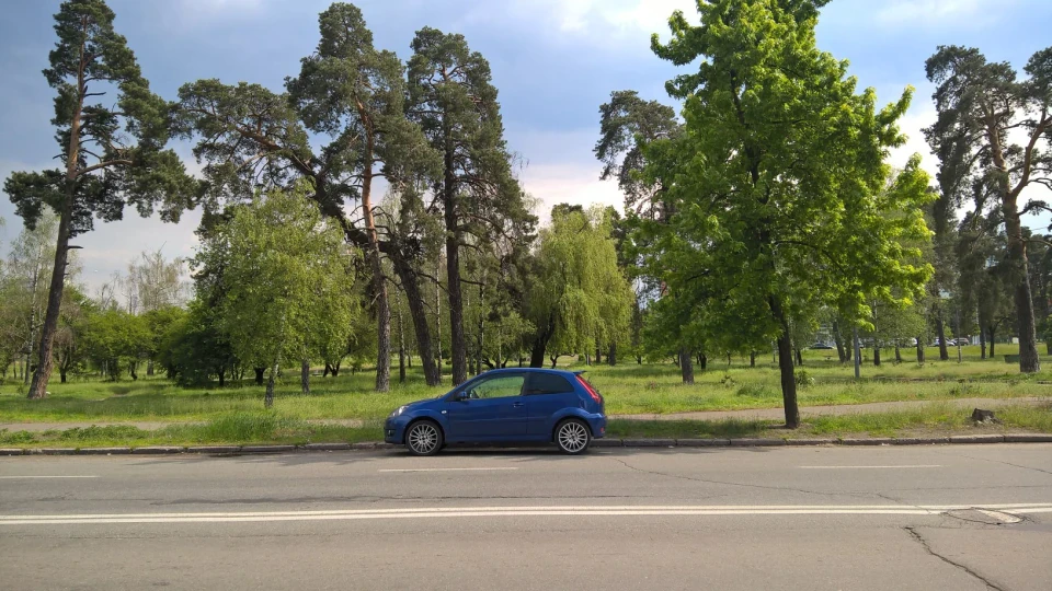 Ford Fiesta ST Жабенятко
