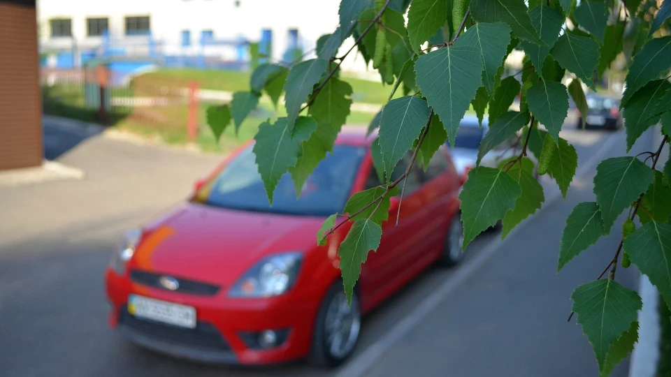 Ford Fiesta ST Злий птахів =/ 3
