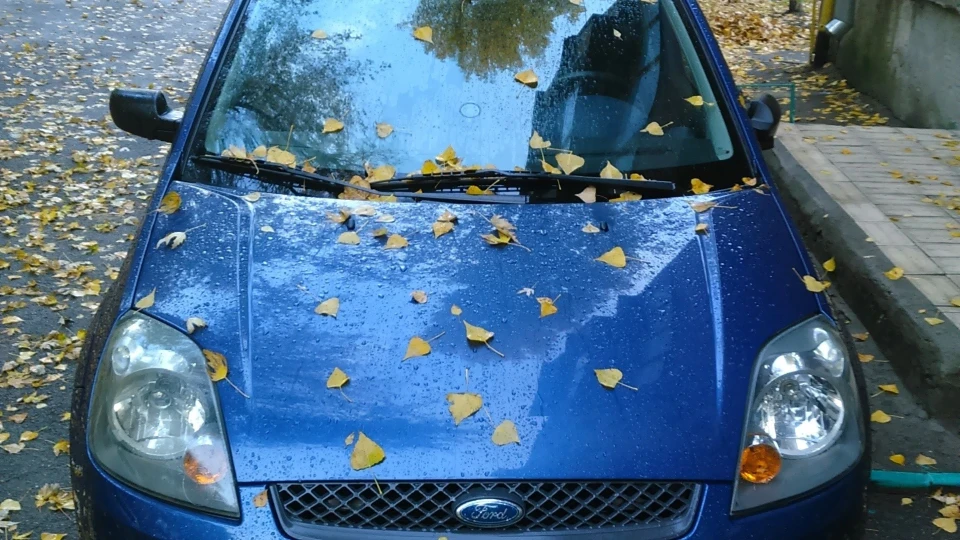 Ford Fiesta 1.4 Ukraine 2