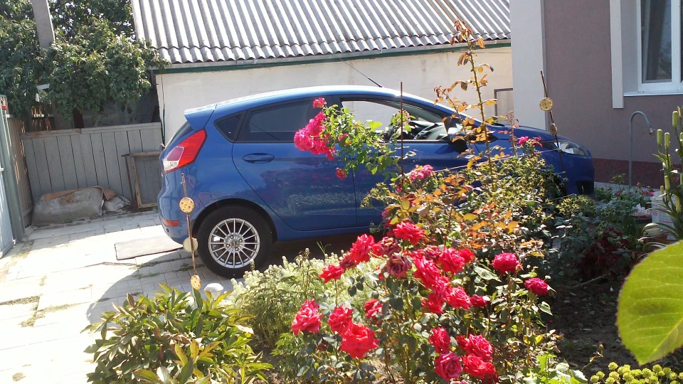 Ford Fiesta 1,5 tdci 5