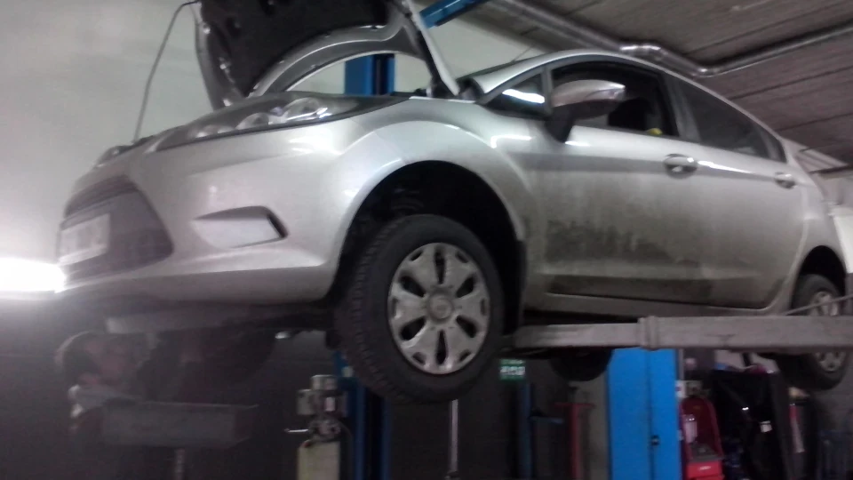 Ford Fiesta Білка 2
