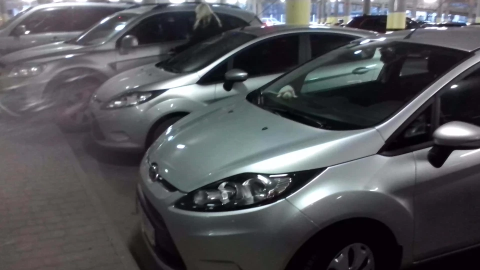 Ford Fiesta Білка 4
