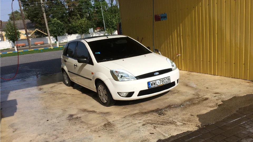 Ford Fiesta Білка
