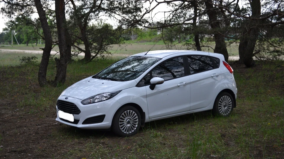 Ford Fiesta Бестія