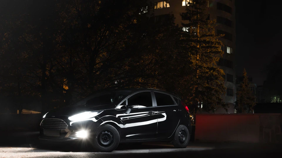 Ford Fiesta | Black Bear 🖤 5