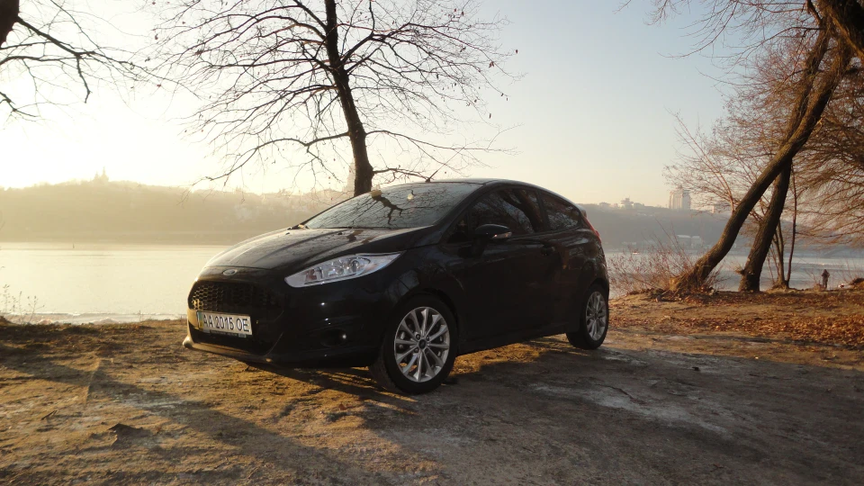 Ford Fiesta Ⓢ Black Out 3