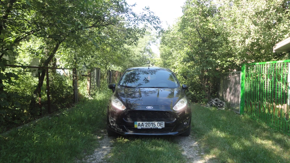 Ford Fiesta Ⓢ Black Out 5