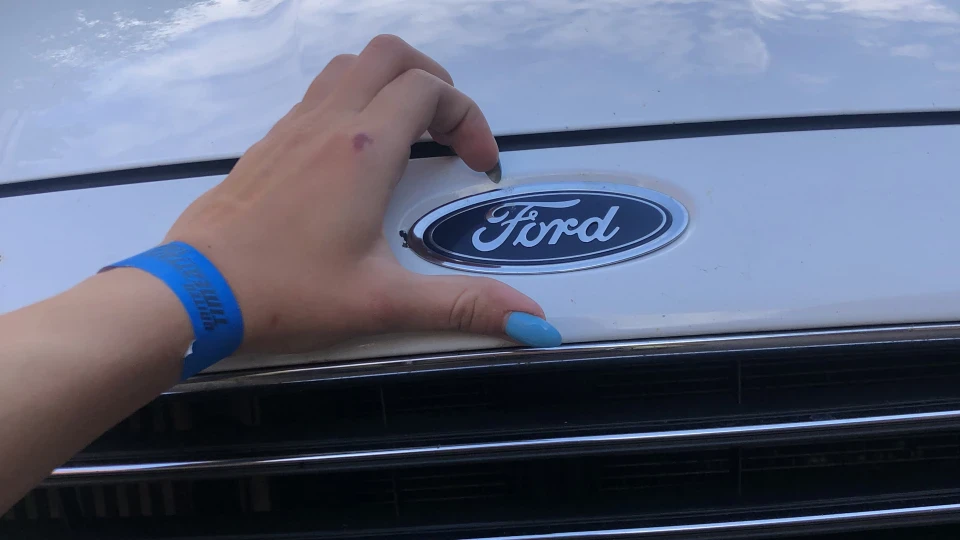 Ford Fiesta Бадьора дрібниця