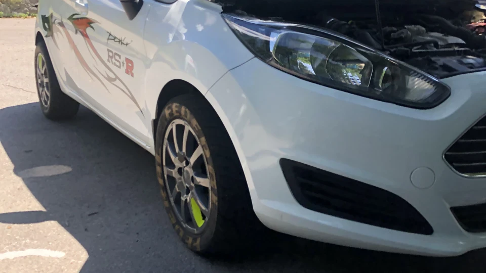 Ford Fiesta Бадьора дрібниця 4