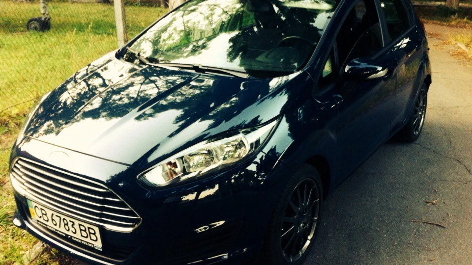 Ford Fiesta Boosted Monkey :)
