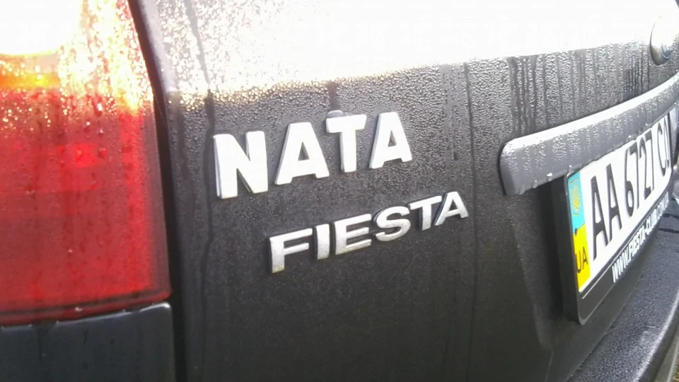 Ford Fiesta Брюнеточка 4