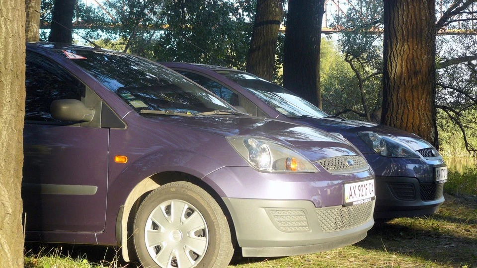 Ford Fiesta Букашка 5
