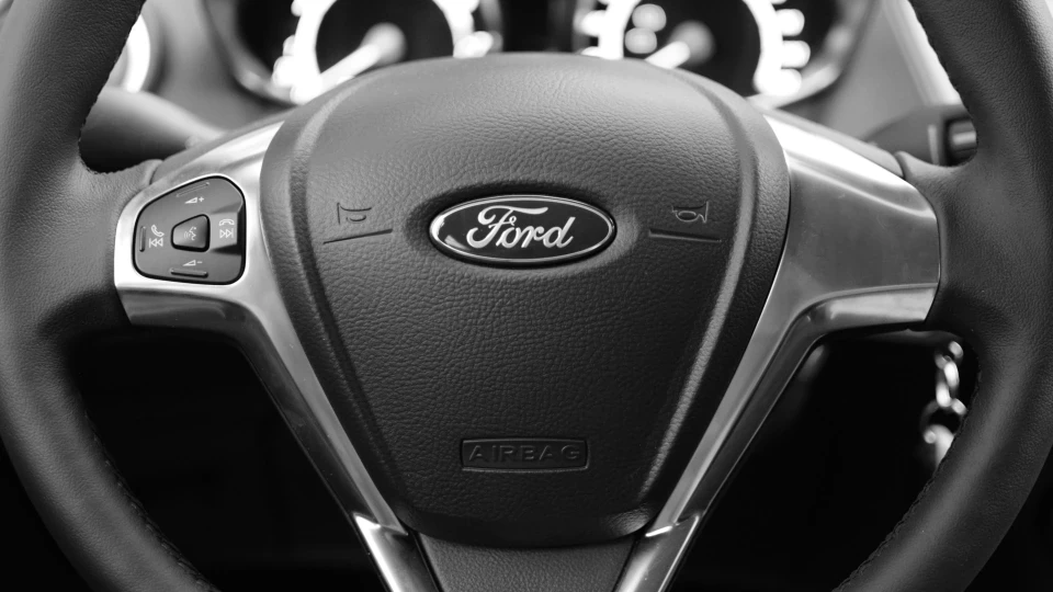 Ford Fiesta Бусинка 3
