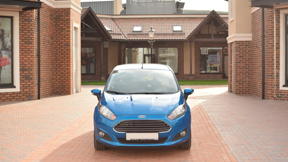 Ford Fiesta Бусинка 5