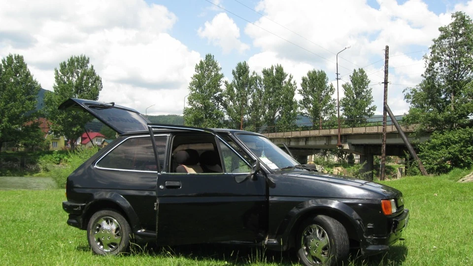 Ford Fiesta Чорний жужик 2