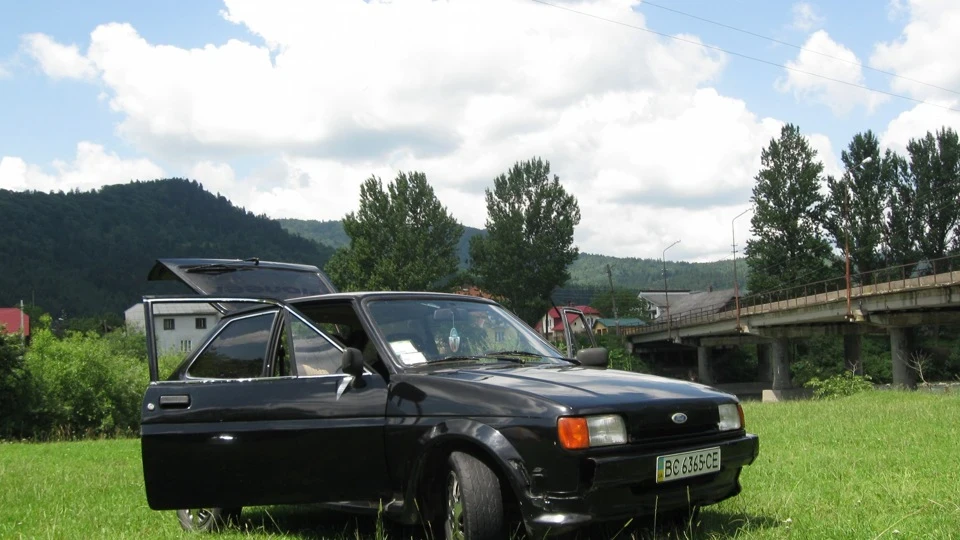 Ford Fiesta Чорний жужик 3