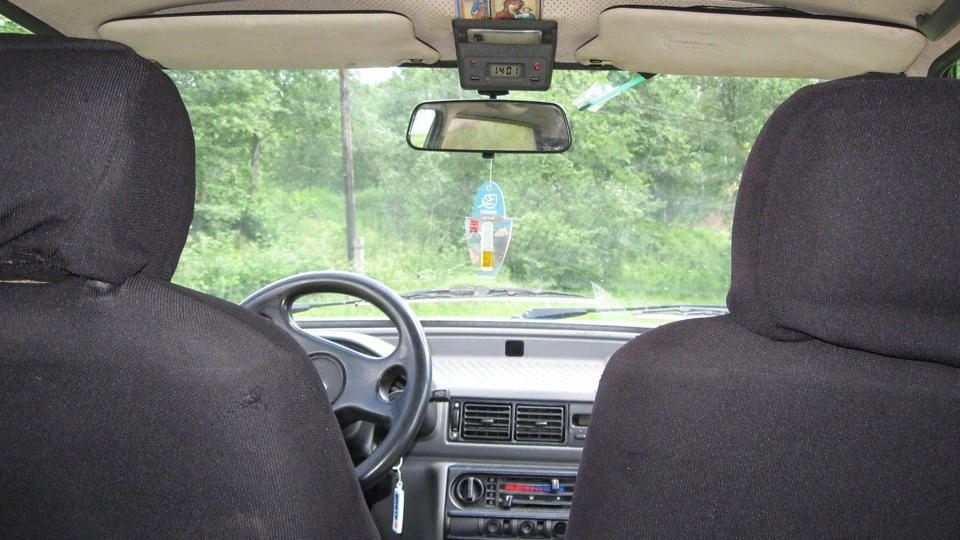 Ford Fiesta Чорний жужик 5