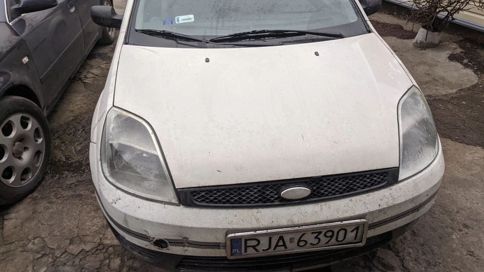 Ford Fiesta ☆Дикобраз )☆