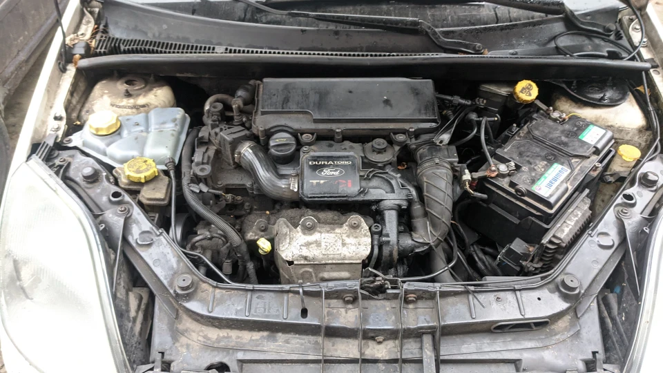 Ford Fiesta ☆Дикобраз )☆ 5