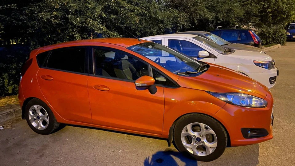 Ford Fiesta Dustin 2