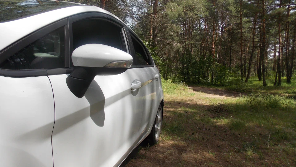 Ford Fiesta Федір 2