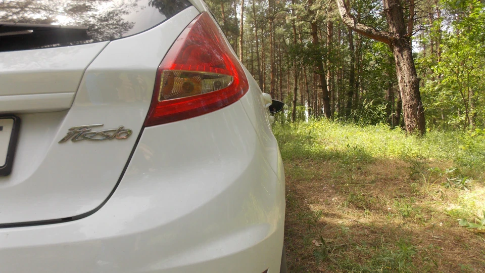 Ford Fiesta Федір 4
