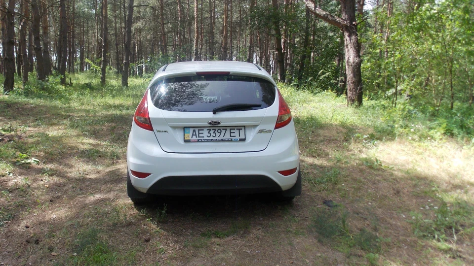 Ford Fiesta Федір 5