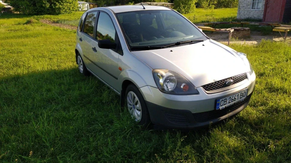 Ford Fiesta Картинг щодня