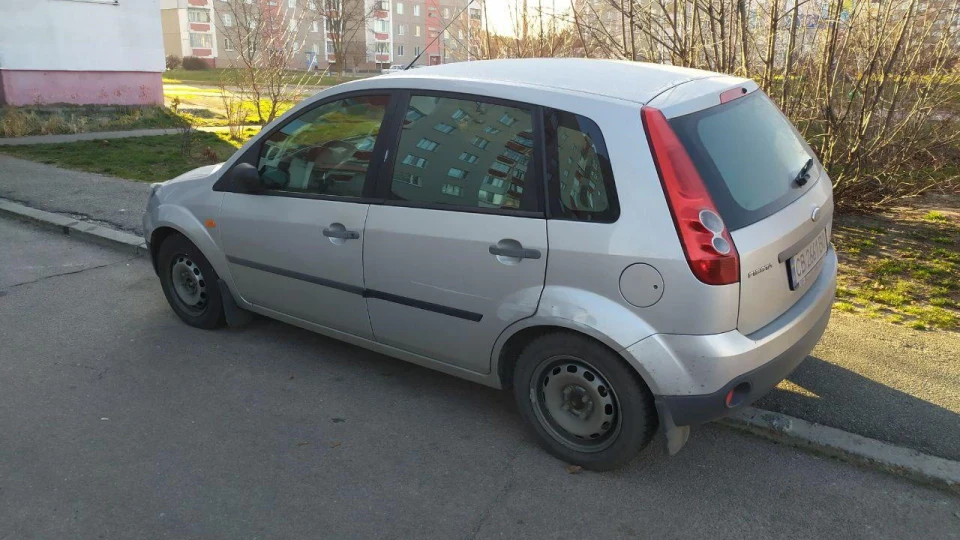 Ford Fiesta Картинг щодня 2