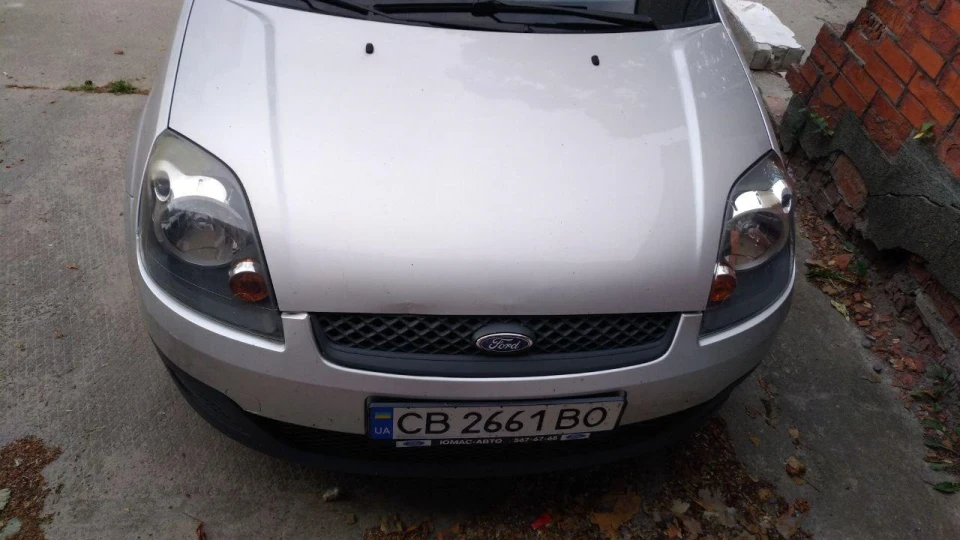 Ford Fiesta Картинг щодня 4