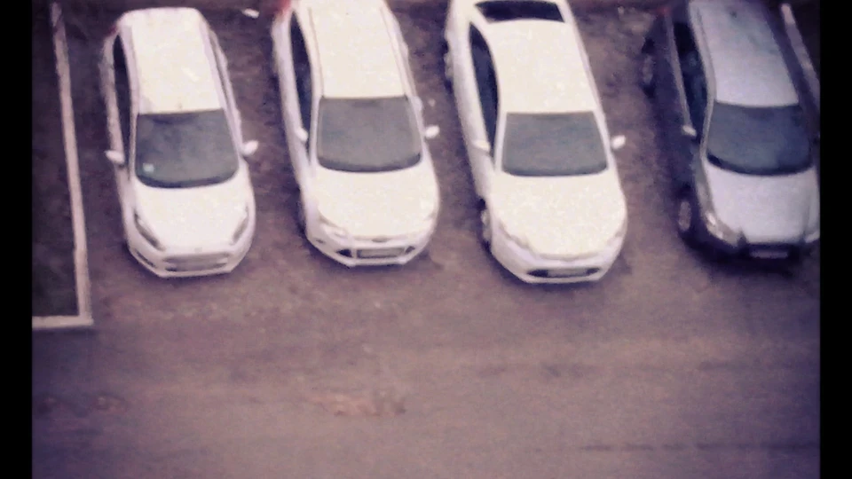Ford Fiesta касатка 2