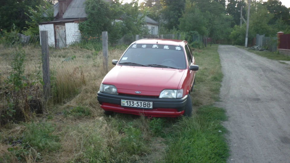 Ford Fiesta Маленька але зла!