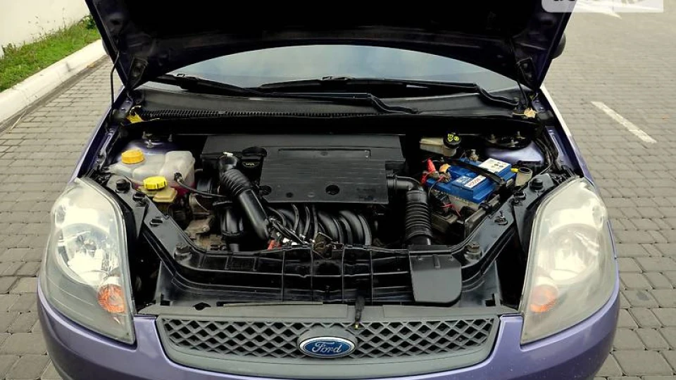 Ford Fiesta МАЛЮШКА 4