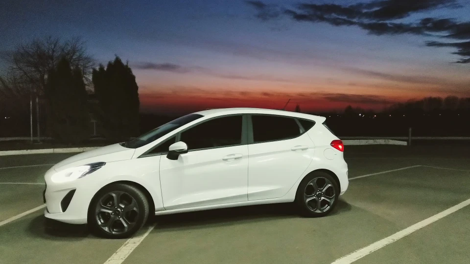 Ford Fiesta mk8 Malyshka 5