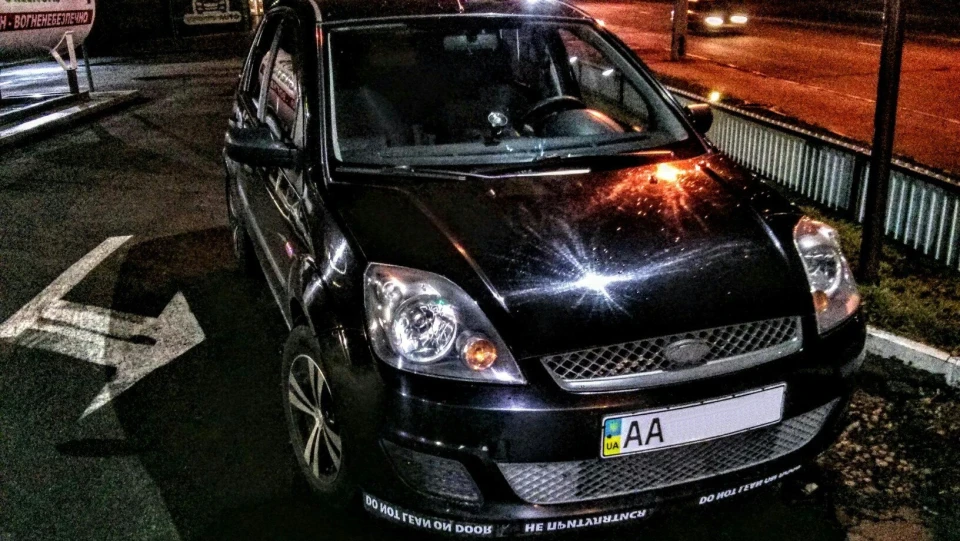 Ford Fiesta багатоцільовий жуж;) 2