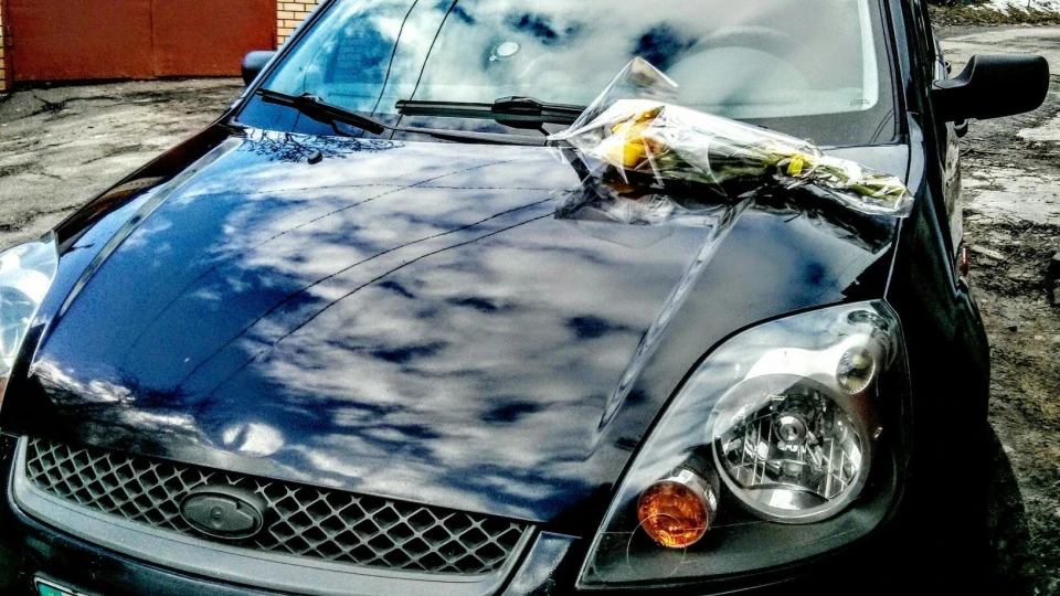 Ford Fiesta багатоцільовий жуж;) 4