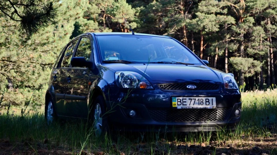 Ford Fiesta Mr. Frost 3