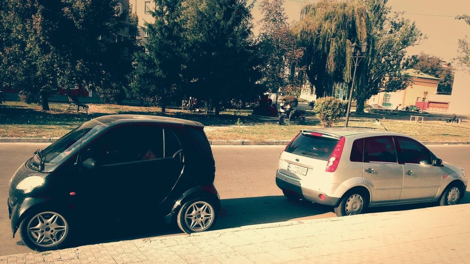 Ford Fiesta Миша ^.*.^ 3