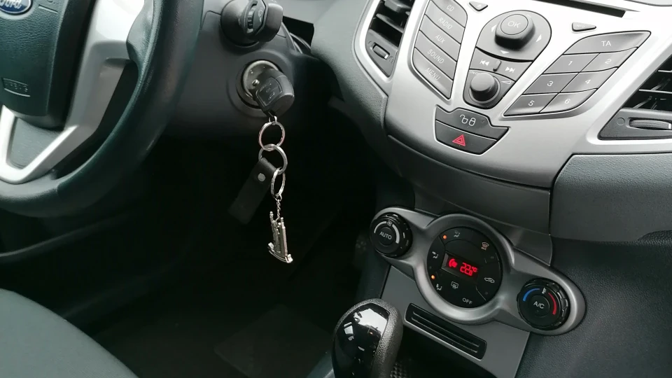 Ford Fiesta Мишеня 3