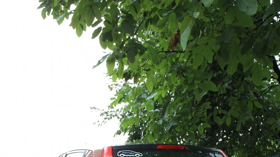 Ford Fiesta Недопривідна пузотерка 5