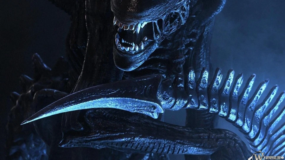 Ford Fiesta OLDSCHOOL CAR №2 4