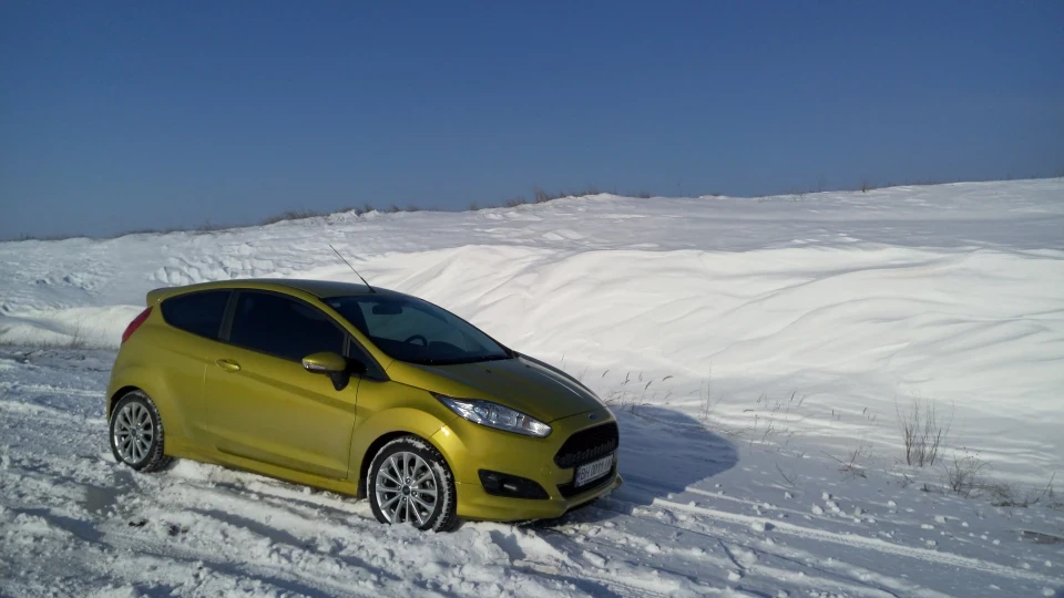 Ford Fiesta Oliva 2